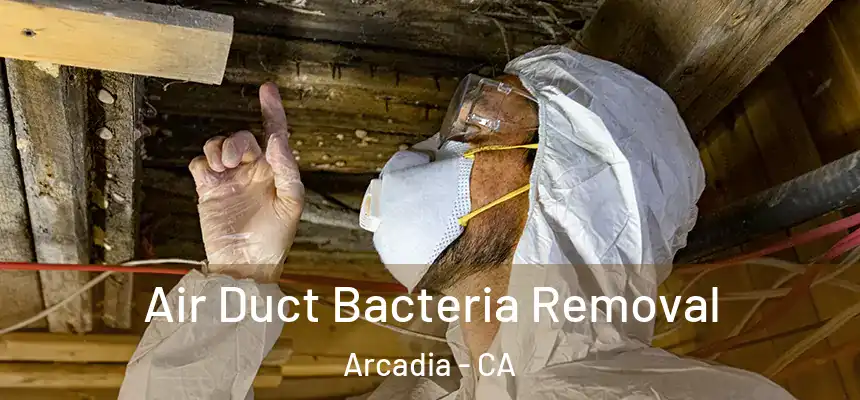  Air Duct Bacteria Removal Arcadia - CA