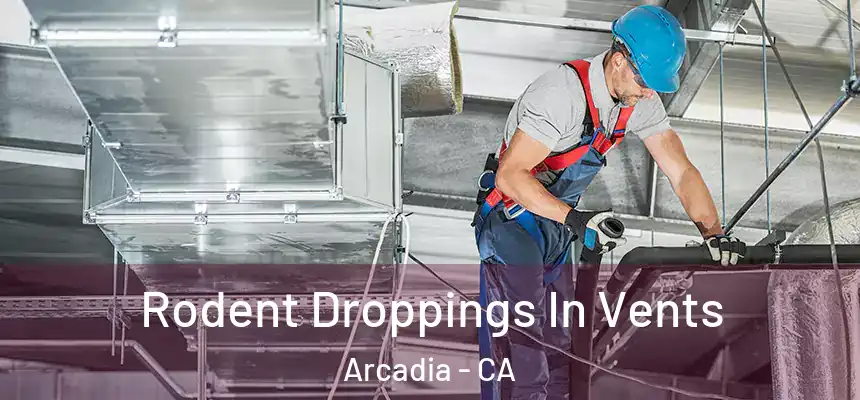  Rodent Droppings In Vents Arcadia - CA