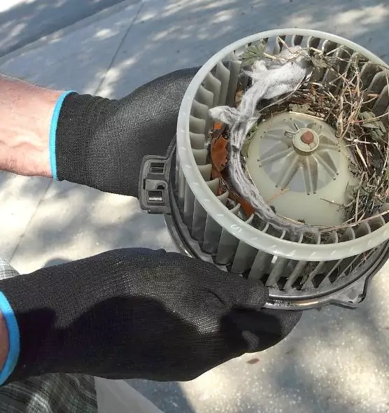 About Air Duct Rat Removal in Arcadia, CA