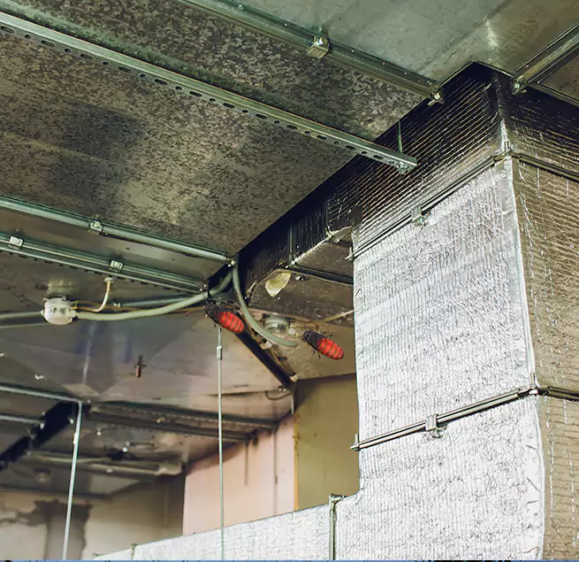 Why Homeowners & Businesses Trust Us in Arcadia, CA?