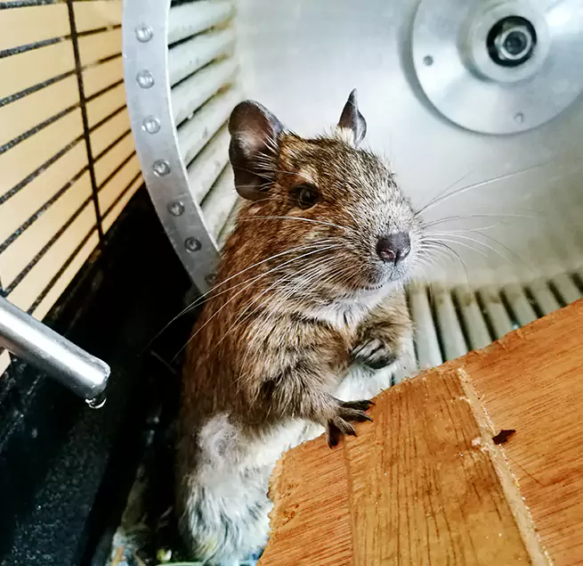 Why Homeowners & Businesses Trust Us Arcadia, CA