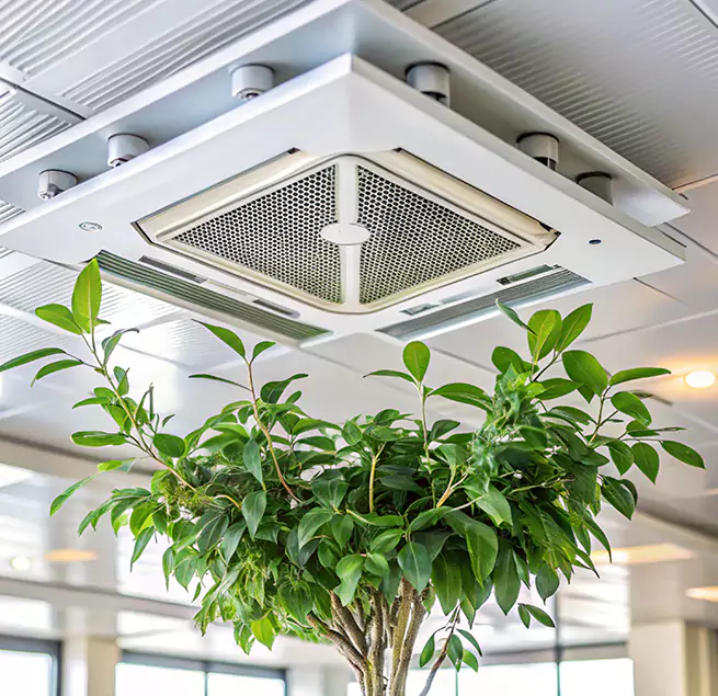 Why Homeowners & Businesses Trust Us in Arcadia, CA