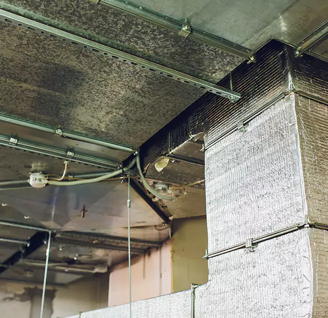 Why Homeowners & Businesses Trust Us in Arcadia, CA?