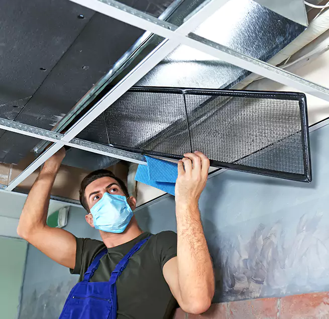 Why Homeowners & Businesses Trust Us in Arcadia, CA?